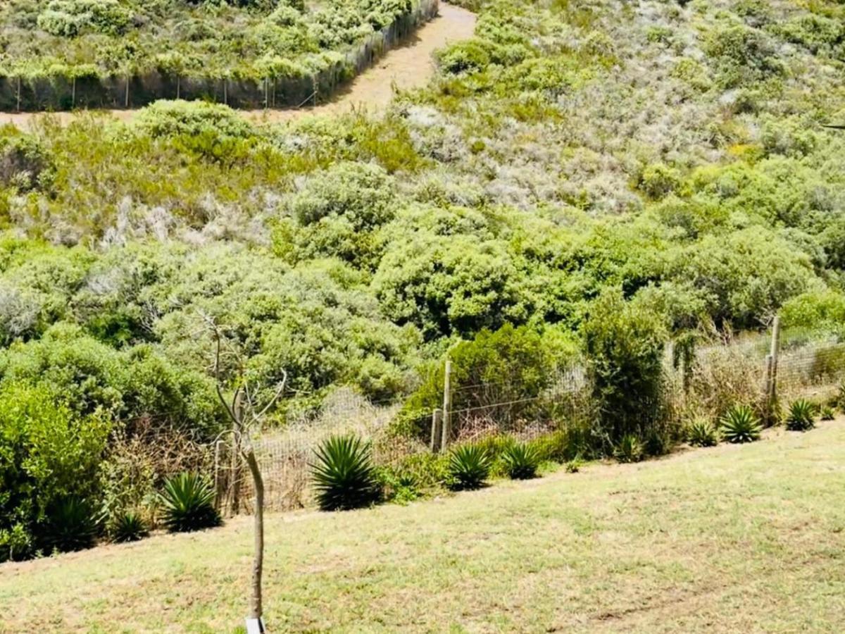 Hotel Vibes Cape Town Plattekloof Dış mekan fotoğraf
