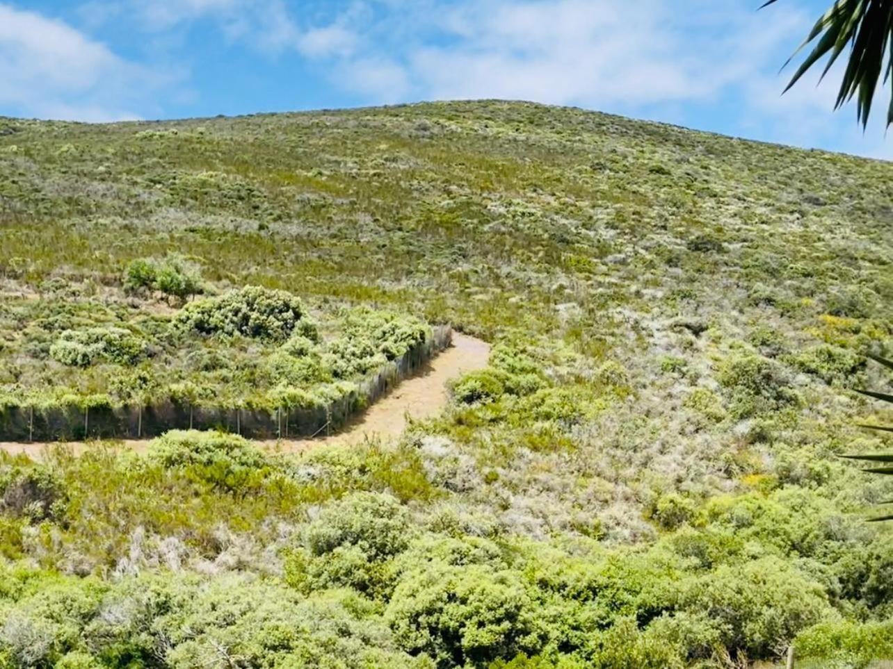 Hotel Vibes Cape Town Plattekloof Oda fotoğraf